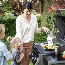 Barbecue Gaz Rogue 365 R 2 Brûleurs - NAPOLEON -Weber || Napoleon || Broil King Soldes barbecue gaz rogue 365 serie r 2 bruleurs 2